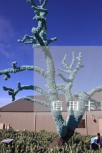信用卡逾期难协商 信用卡逾期难协商