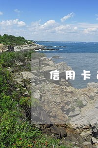 信用卡逾期集中诉讼 信用卡逾期集中诉讼