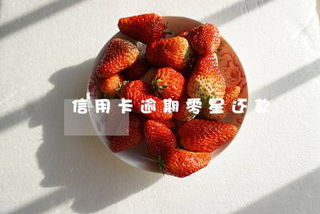 信用卡逾期零星还款 信用卡逾期零星还款