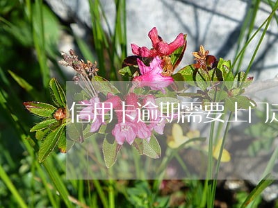 信用卡逾期需要上门走访几次