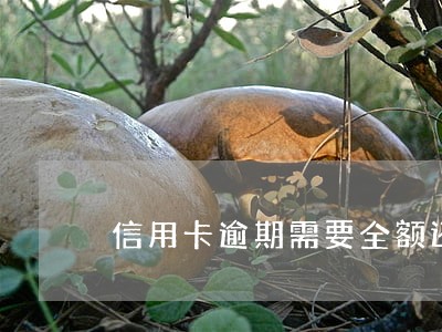 信用卡逾期需要全额还款 信用卡逾期需要全额还款