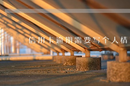 信用卡逾期需要写个人情况说明