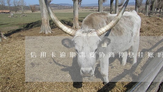 信用卡逾期需要协商停息挂账吗 信用卡逾期需要协商停息挂账吗