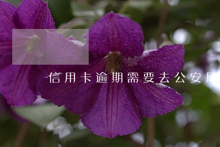 信用卡逾期需要去公安局么 信用卡逾期需要去公安局么