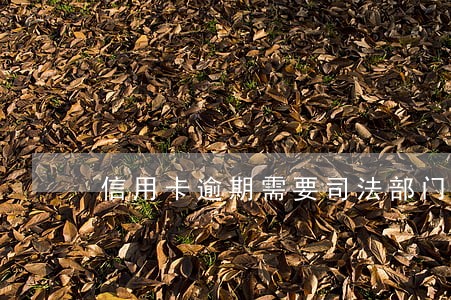 信用卡逾期需要司法部门协助 信用卡逾期需要司法部门协助