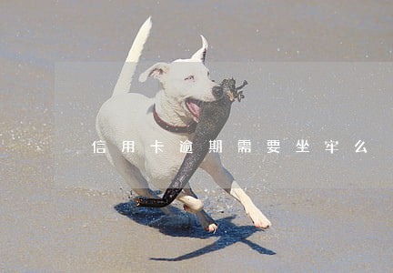 信用卡逾期需要坐牢么 信用卡逾期需要坐牢么