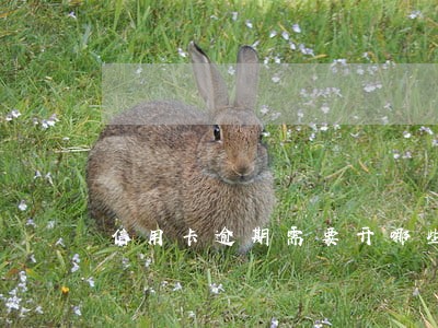 信用卡逾期需要开哪些证明材料 信用卡逾期需要开哪些证明材料