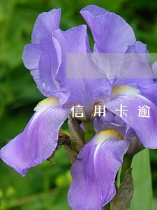 信用卡逾期需要打电话给银行吗 信用卡逾期需要打电话给银行吗