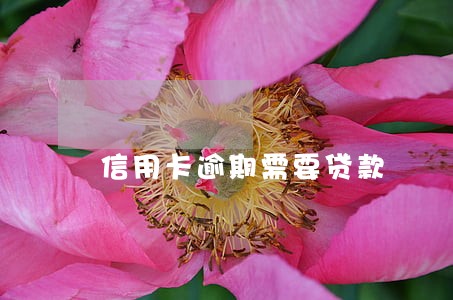 信用卡逾期需要贷款