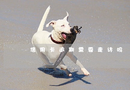 信用卡逾期需要走访吗 信用卡逾期需要走访吗