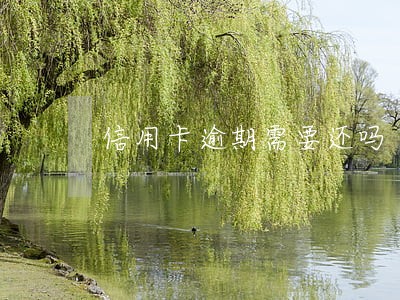 信用卡逾期需要还吗 信用卡逾期需要还吗