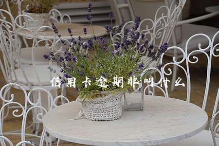 信用卡逾期非叫什么 信用卡逾期非叫什么