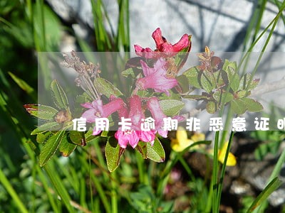 信用卡逾期非恶意证明怎么写 信用卡逾期非恶意证明怎么写