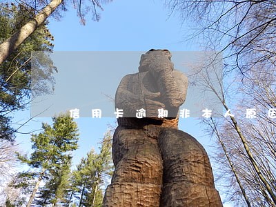 信用卡逾期非本人原因 信用卡逾期非本人原因