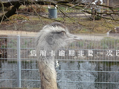信用卡逾期非要一次还清 信用卡逾期非要一次还清