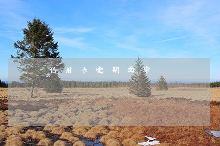 信用卡逾期面审 信用卡逾期面审