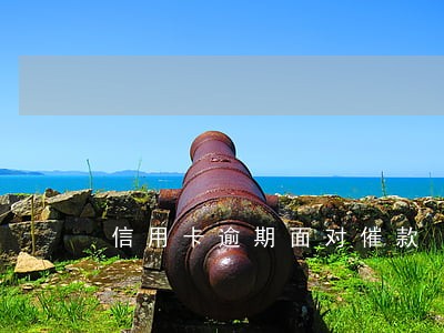 信用卡逾期面对催款 信用卡逾期面对催款