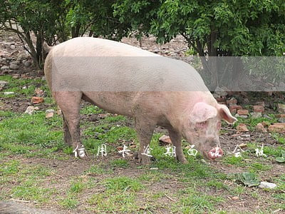 信用卡逾期面谈会被