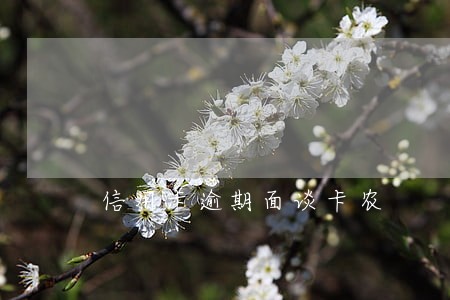 信用卡逾期面谈卡农 信用卡逾期面谈卡农