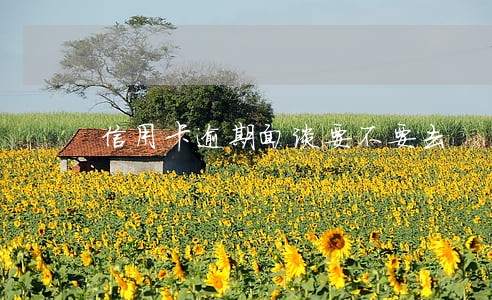 信用卡逾期面谈要不要去 信用卡逾期面谈要不要去
