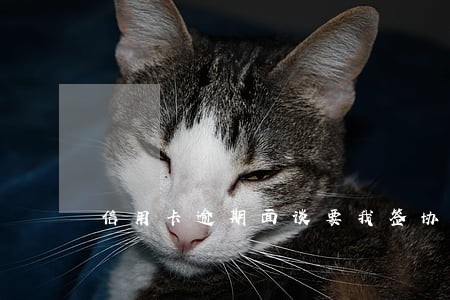 信用卡逾期面谈要我签协议