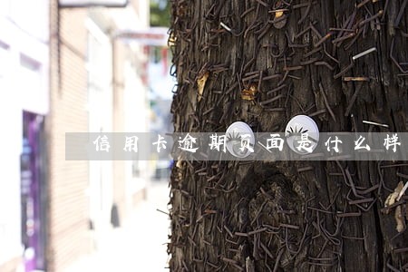 信用卡逾期页面是什么样子 信用卡逾期页面是什么样子