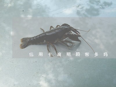 信用卡逾期顾客多吗 信用卡逾期顾客多吗