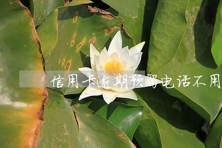 信用卡逾期预留电话不用了