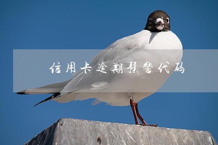 信用卡逾期预警代码 信用卡逾期预警代码