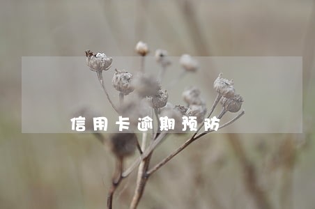 信用卡逾期预防 信用卡逾期预防