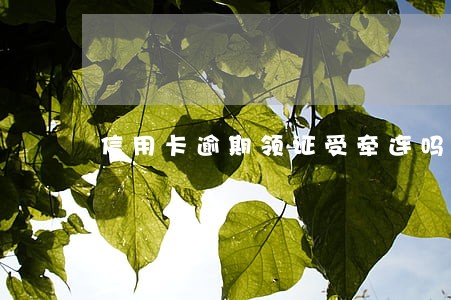 信用卡逾期领证受牵连吗 信用卡逾期领证受牵连吗