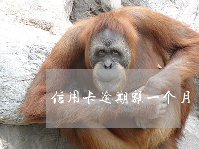 信用卡逾期额一个月