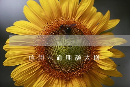 信用卡逾期额大增 信用卡逾期额大增