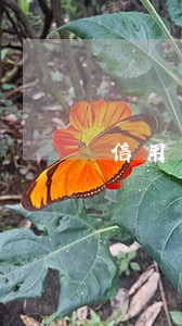 信用卡逾期额度为0还可以用吗 信用卡逾期额度为0还可以用吗