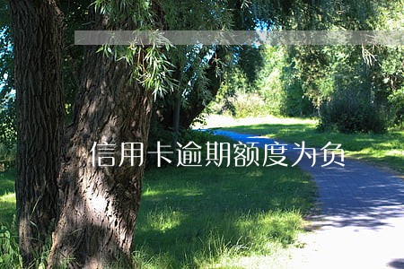 信用卡逾期额度为负 信用卡逾期额度为负