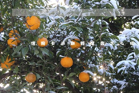 信用卡逾期额度会怎么样 信用卡逾期额度会怎么样
