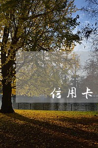 信用卡逾期额度会降低