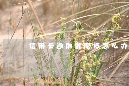 信用卡逾期额度低怎么办 信用卡逾期额度低怎么办