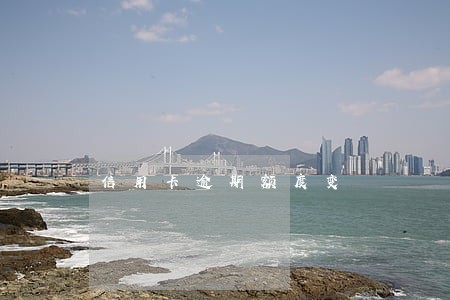 信用卡逾期额度变 信用卡逾期额度变