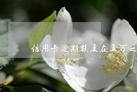 信用卡逾期额度在五万之内
