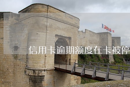 信用卡逾期额度在卡被停用 信用卡逾期额度在卡被停用