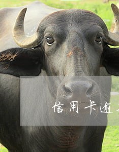 信用卡逾期额度多少会坐牢 信用卡逾期额度多少会坐牢