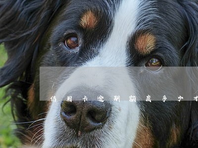 信用卡逾期额度多少才可以立案 信用卡逾期额度多少才可以立案