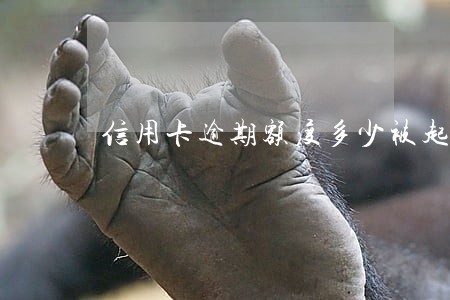 信用卡逾期额度多少被起诉招商 信用卡逾期额度多少被起诉招商
