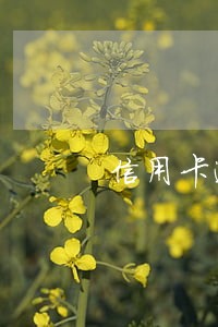 信用卡逾期额度多高