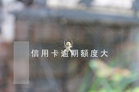 信用卡逾期额度大 信用卡逾期额度大