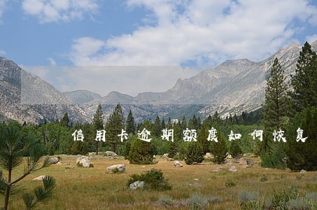 信用卡逾期额度如何恢复