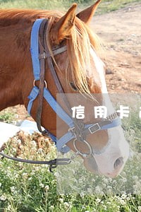 信用卡逾期额度少的会坐牢吗 信用卡逾期额度少的会坐牢吗