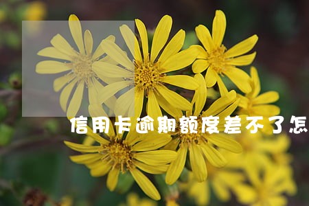 信用卡逾期额度差不了怎么办