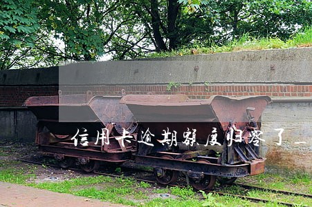 信用卡逾期额度归零了_